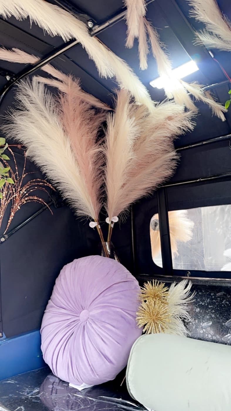 Inside the quinceanera rickshaw, cushions and pampas grass arranged as a photo seat